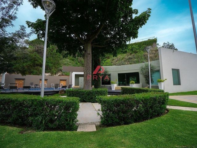 place photo 32