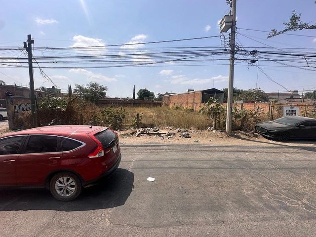 place photo 17