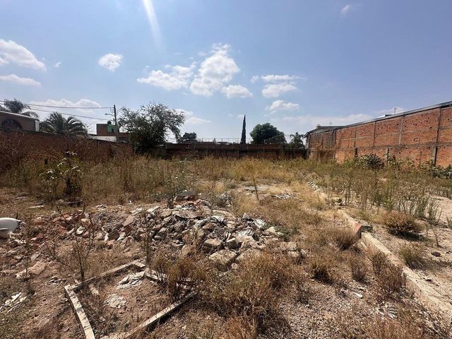 place photo 14