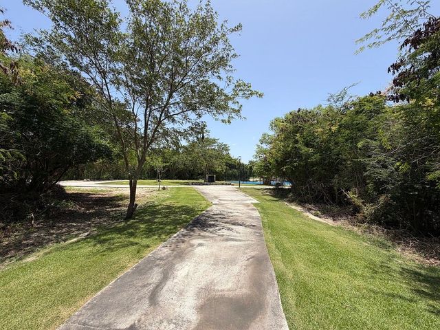 place photo 28