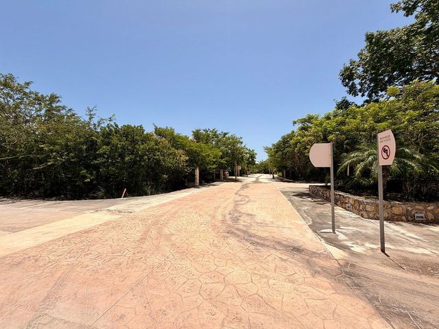 place photo 23