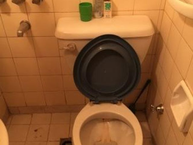 place photo 30