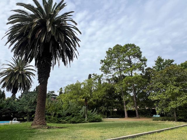 place photo 26