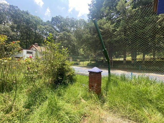 place photo 30