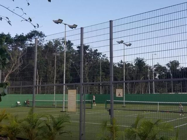 place photo 13