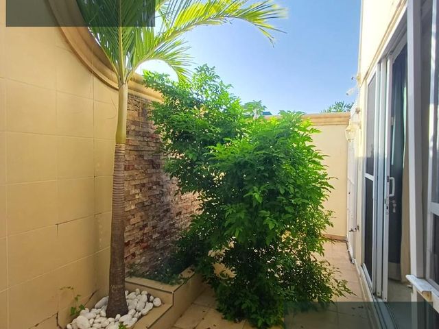 place photo 47
