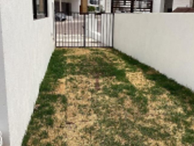 place photo 31