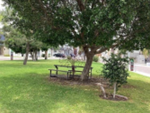 place photo 34