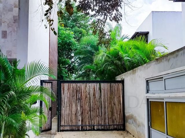 place photo 59