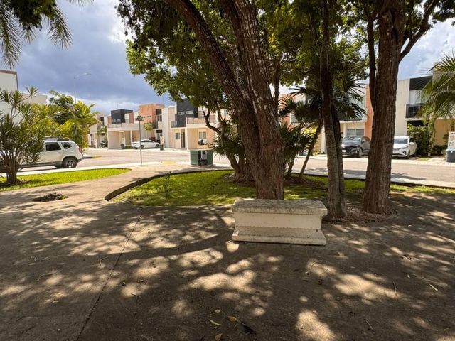 place photo 19