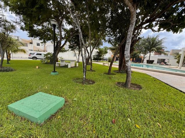 place photo 17