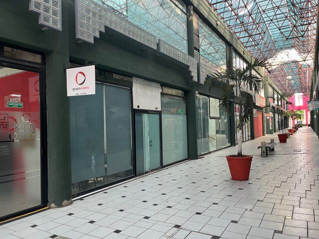 place photo 14