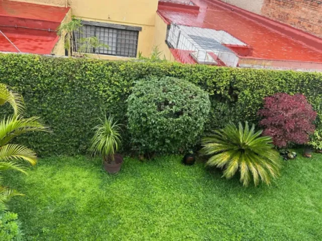 place photo 24