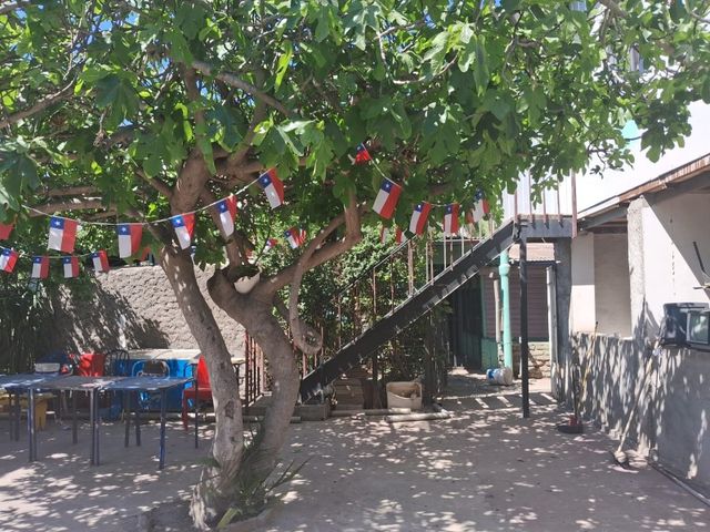 place photo 23