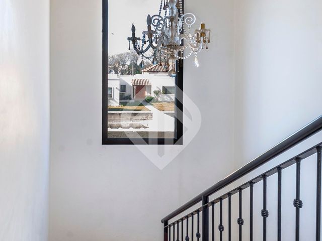 place photo 49