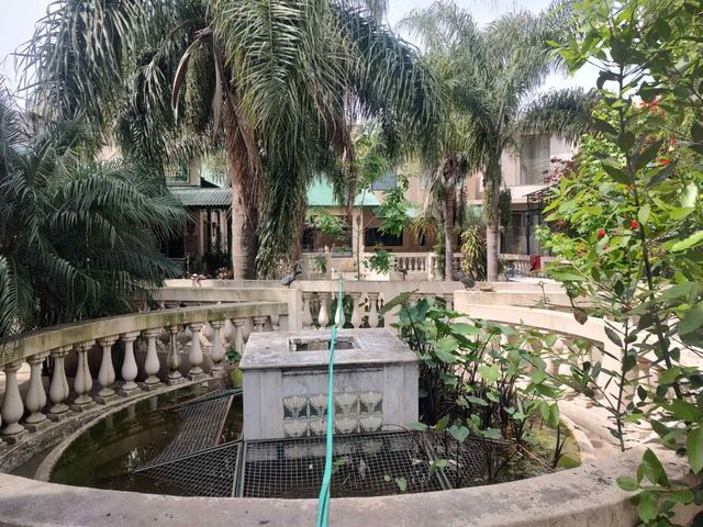 place photo 42