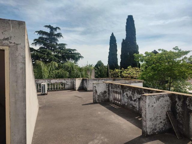 place photo 70