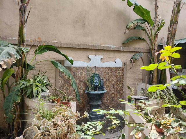 place photo 35