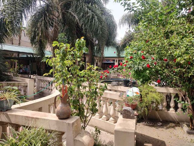 place photo 43