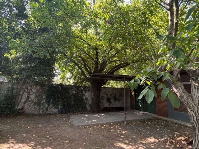 place photo 38