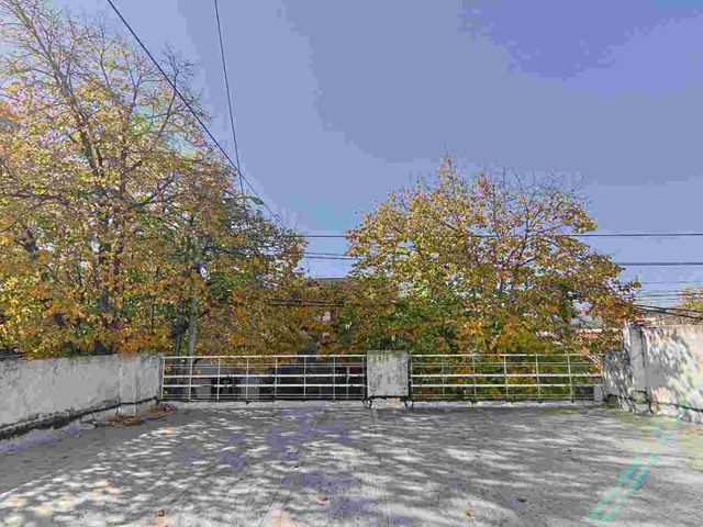 place photo 50