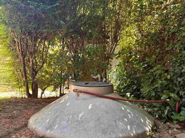 place photo 49