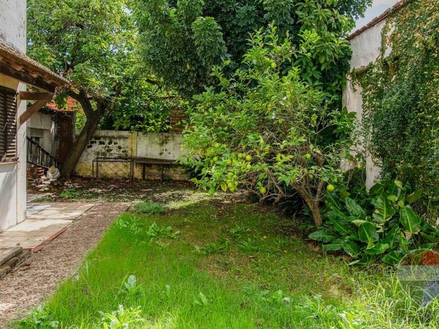 place photo 44