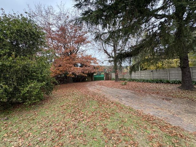 place photo 23