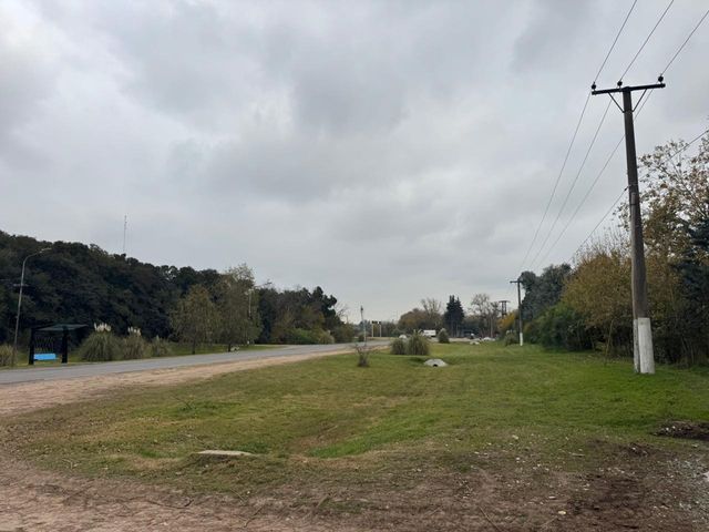 place photo 20