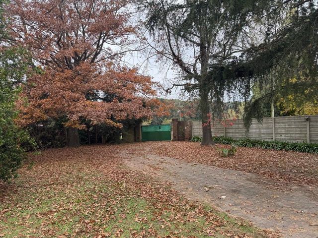 place photo 24