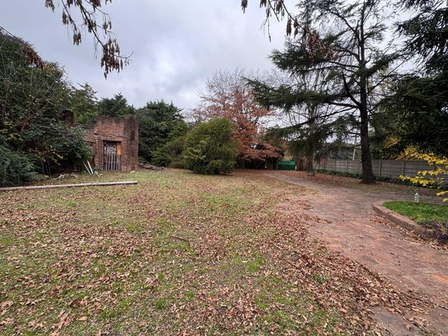 place photo 26
