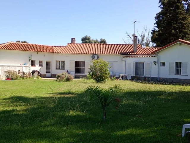 place photo 44