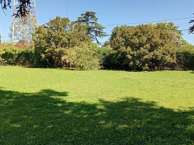 place photo 36