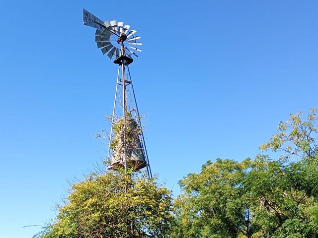 place photo 40