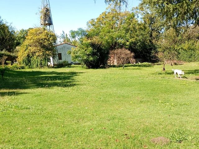 place photo 41