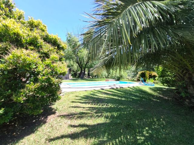 place photo 42