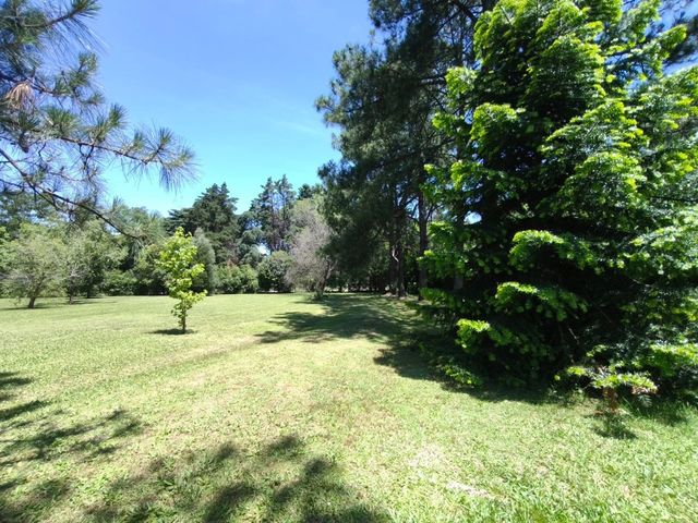 place photo 65