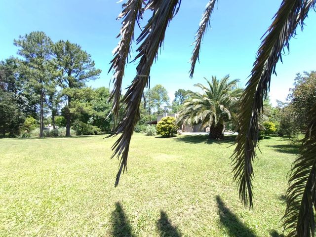 place photo 48