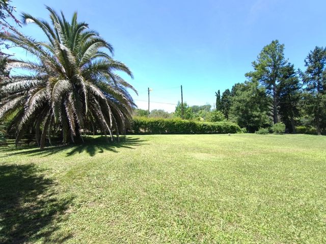 place photo 49