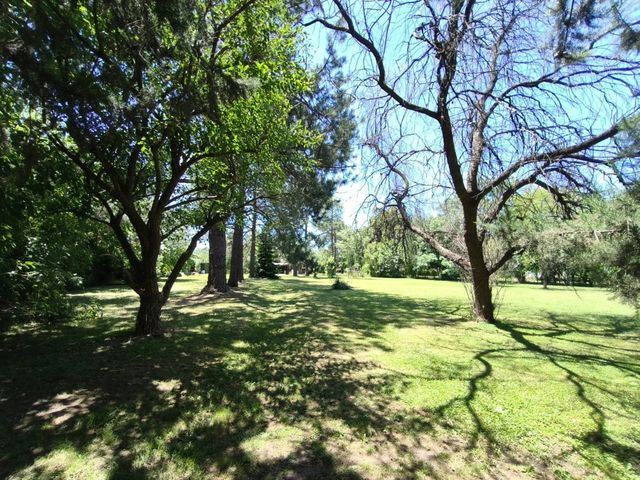 place photo 58