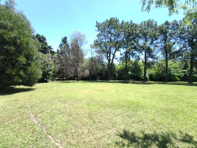 place photo 60