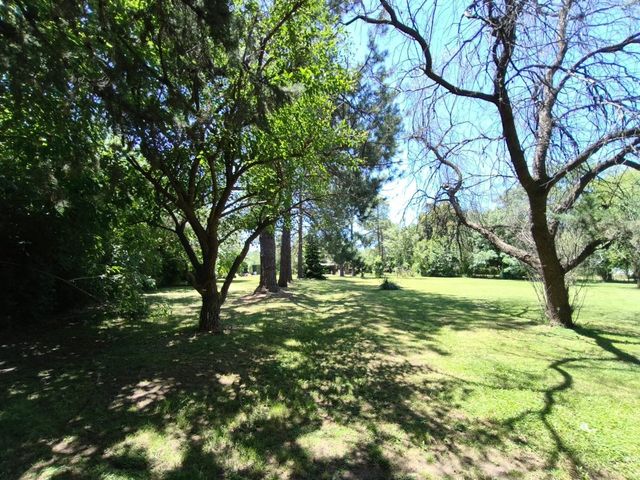 place photo 57