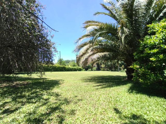place photo 51