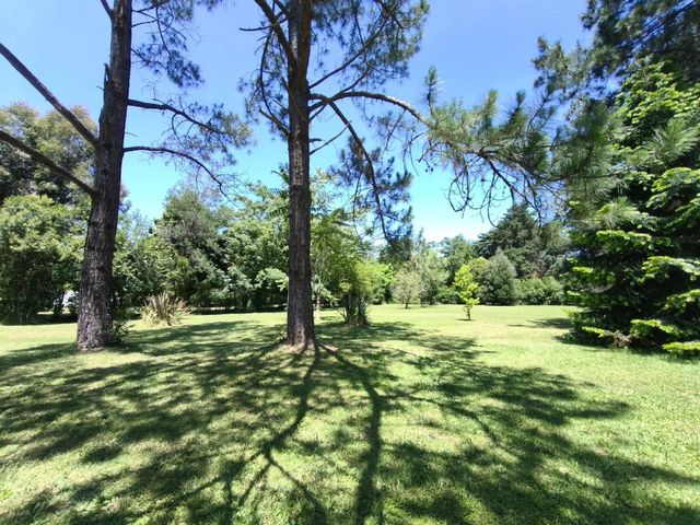 place photo 66