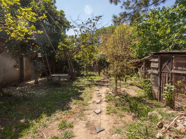 place photo 42