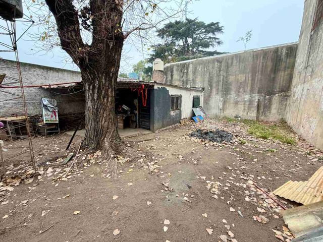 place photo 15