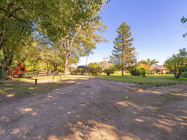 place photo 20