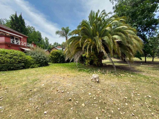 place photo 57