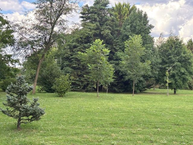 place photo 37