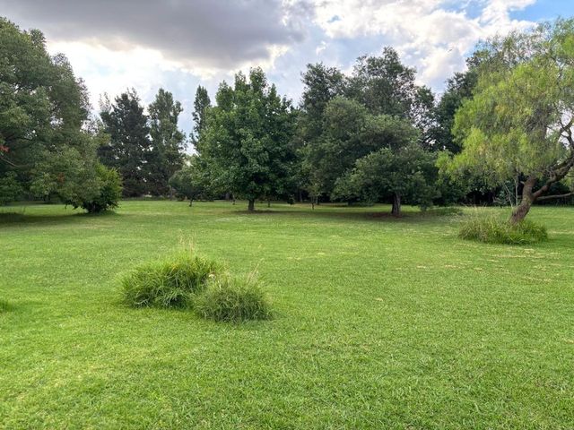 place photo 40